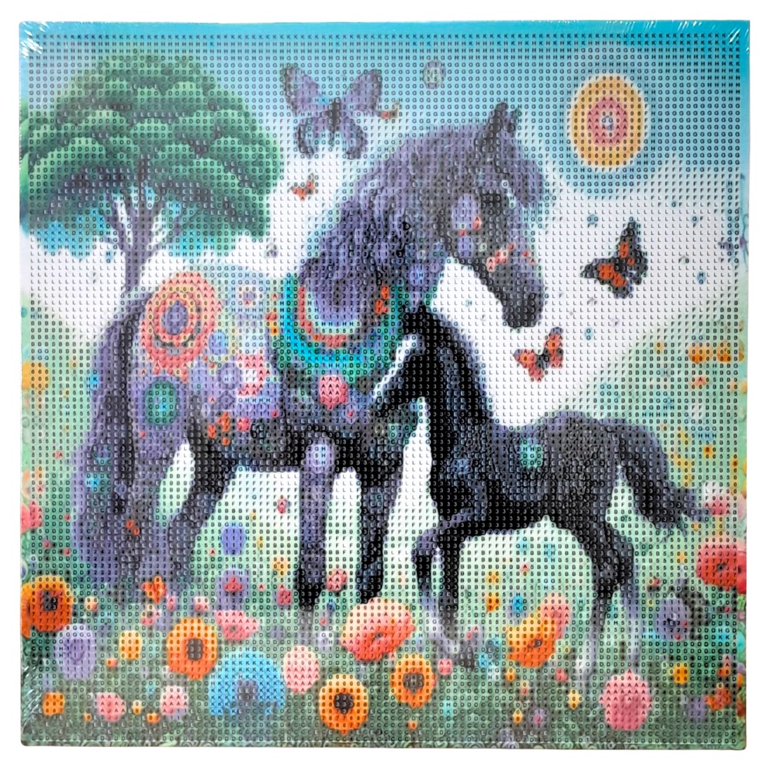 WhatsApp Image 2025-12-27 at 11.34.34 AM (1)