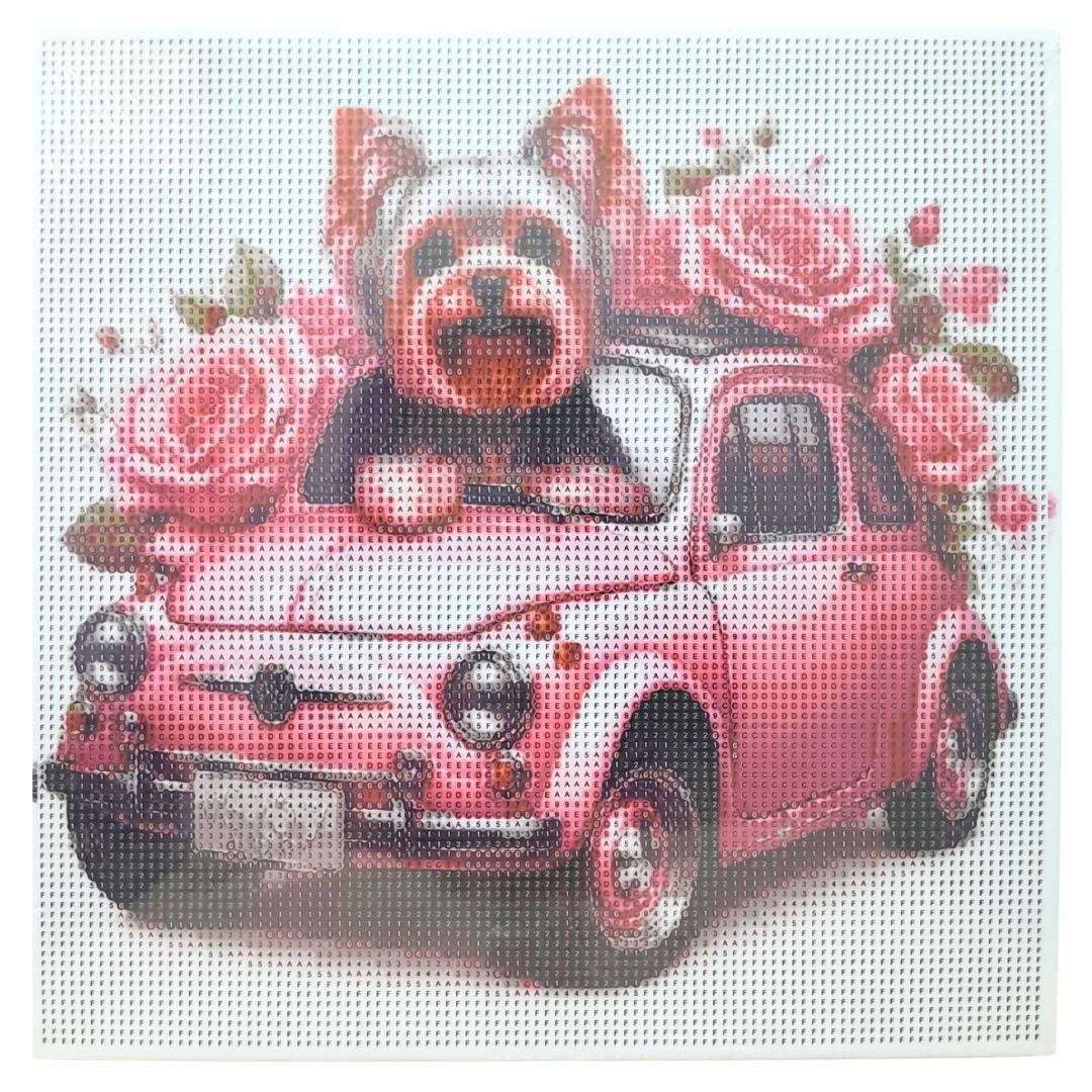 WhatsApp Image 2025-12-27 at 11.34.35 AM (2)